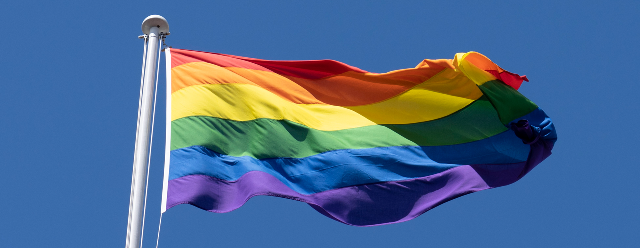 Photo of Pride Flag