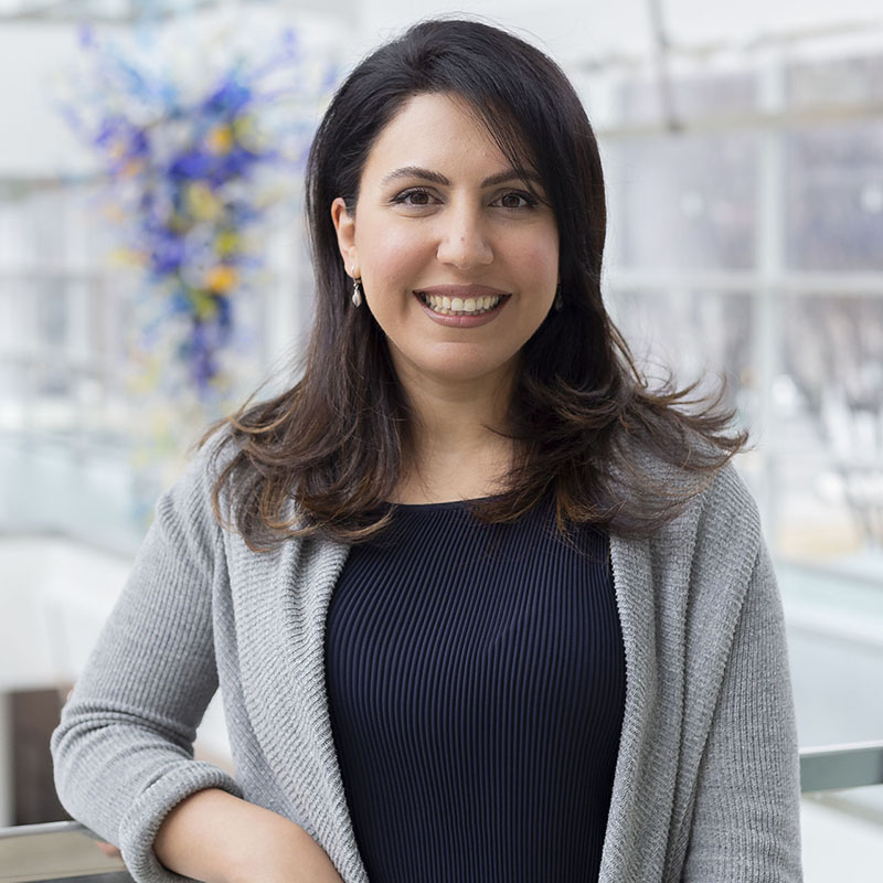 Mortared Rahmani, Professor of Operations Management