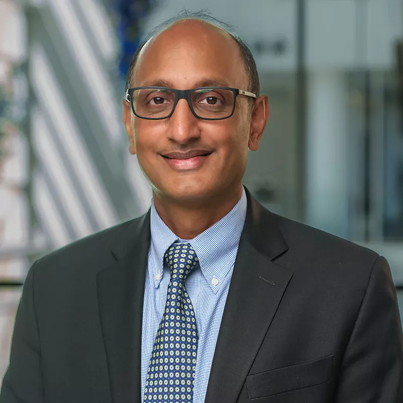 Ravi Subramanian photo