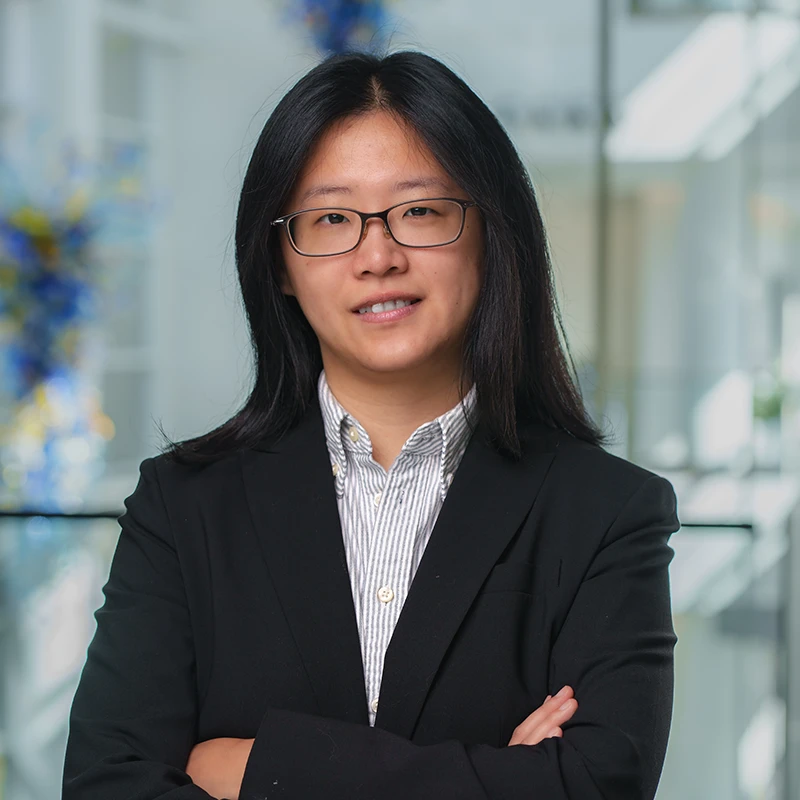 Ye Liu photo