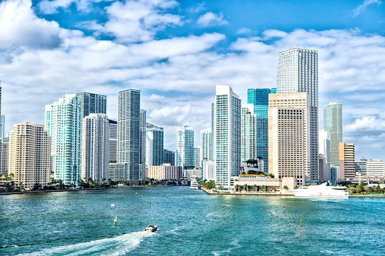 Scheller in Your City: Miami