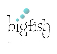 Bigfish Consulting logo