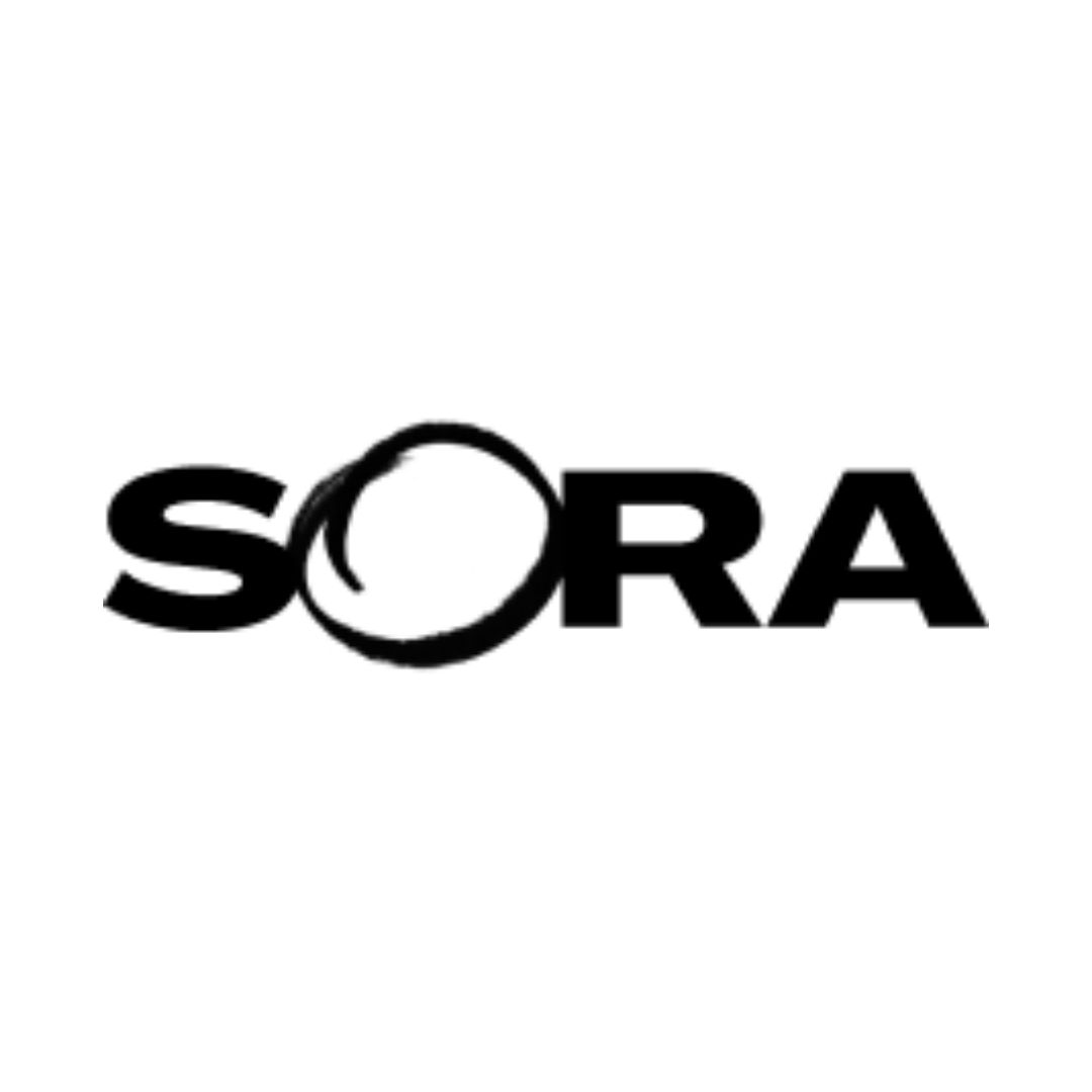 Sora Schools logo