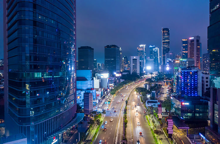 Unicorn Strategies in Southeast Asia