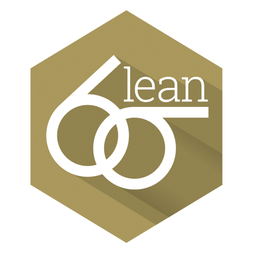 Lean Six Sigma Logo