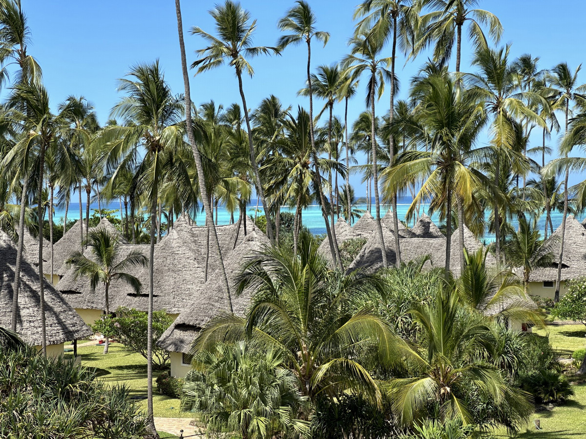 costal landscape in Zanzibar 