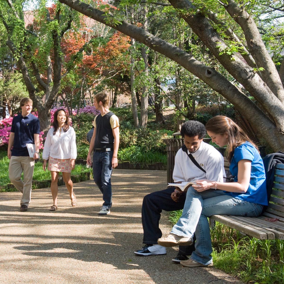 Students on campus in the spring