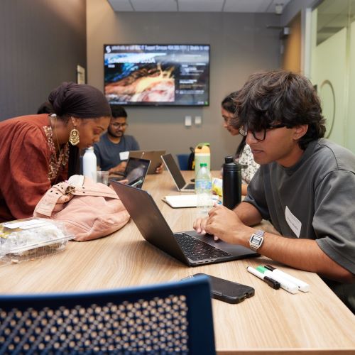 students working at computers