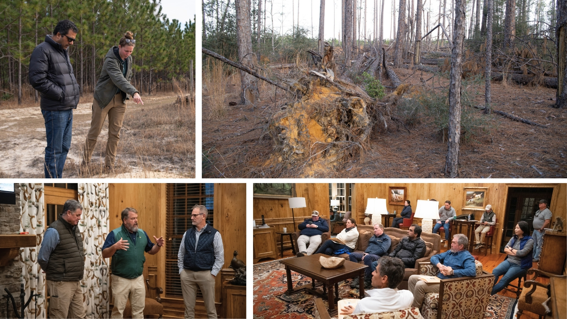 Image Collaboration of a Georgia Forestry Visit