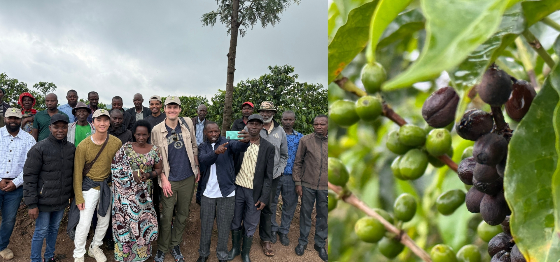 Group picture and Coffee beans growing in Rwanda
