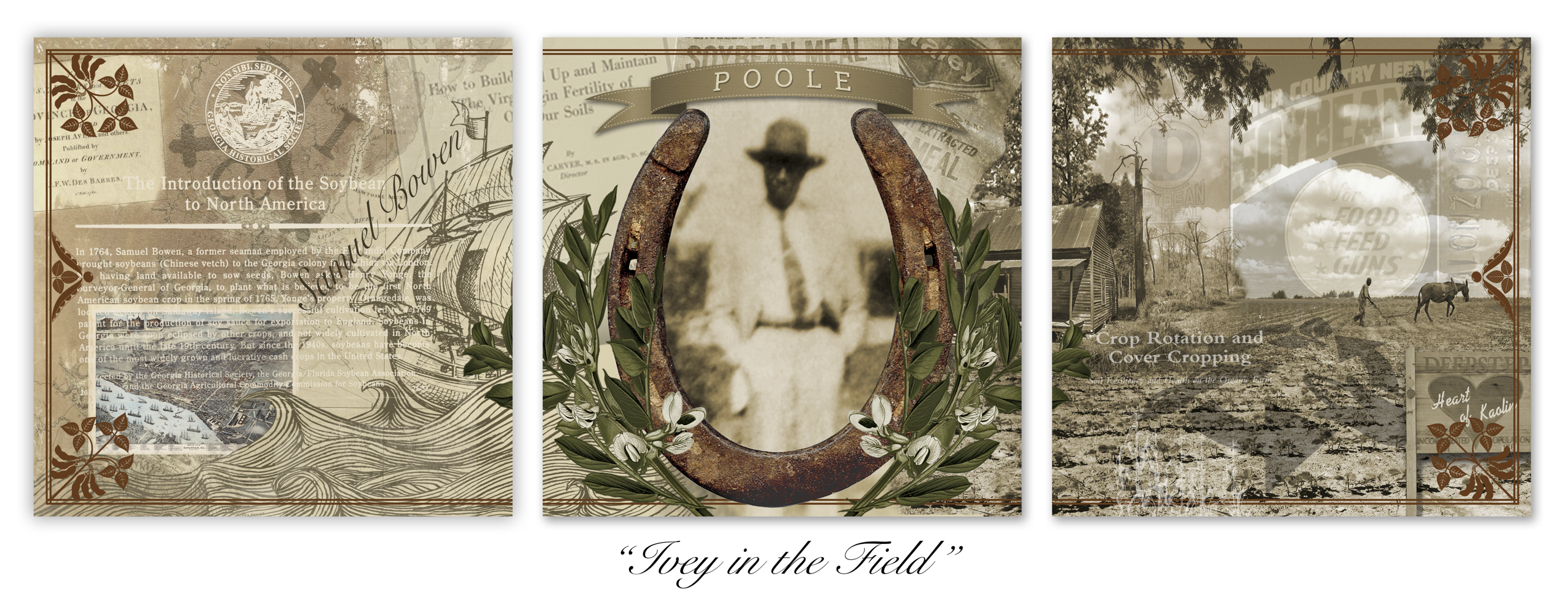 Ivey in the Field by Jerrold Mobley