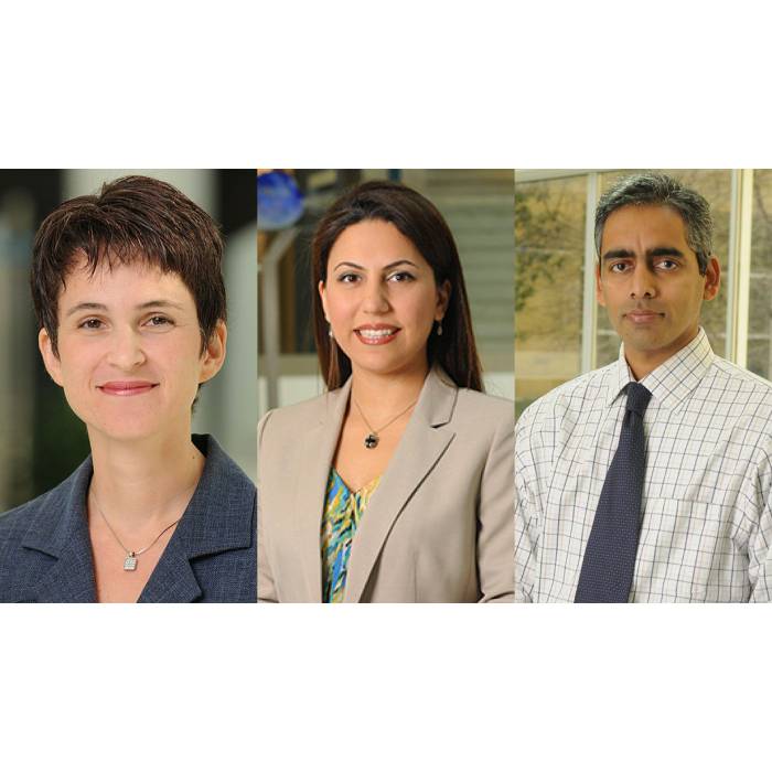 Beril Toktay, Morvarid Rahmani, and Karthik Ramachandran receive MSOM recognition.