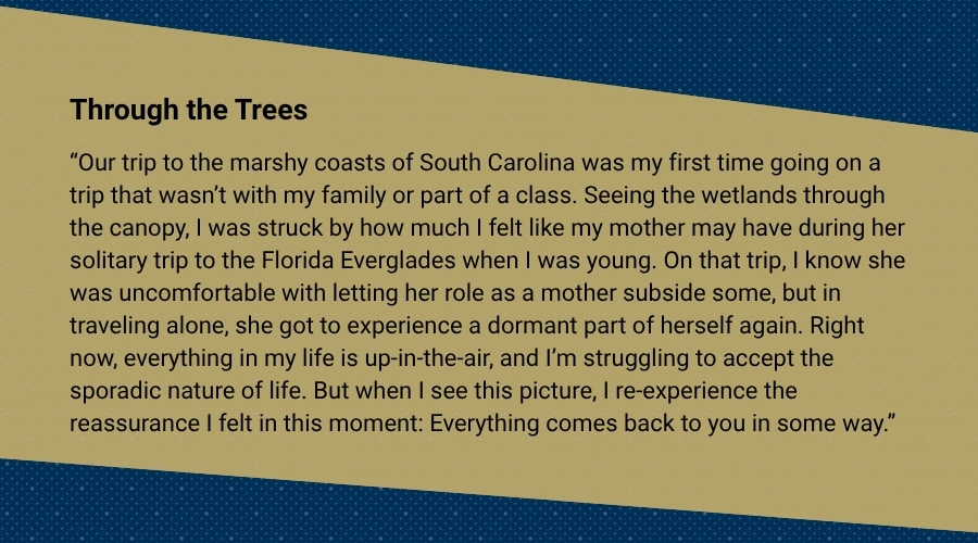 Aura Carroll is a rising third-year architecture major. 
