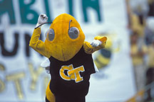 Georgia Tech Buzz